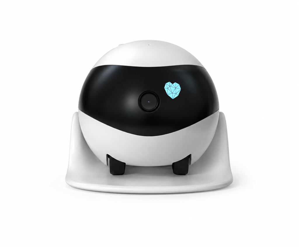 Smart Home Mobile Robot Camera