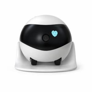 Smart Home Mobile Robot Camera